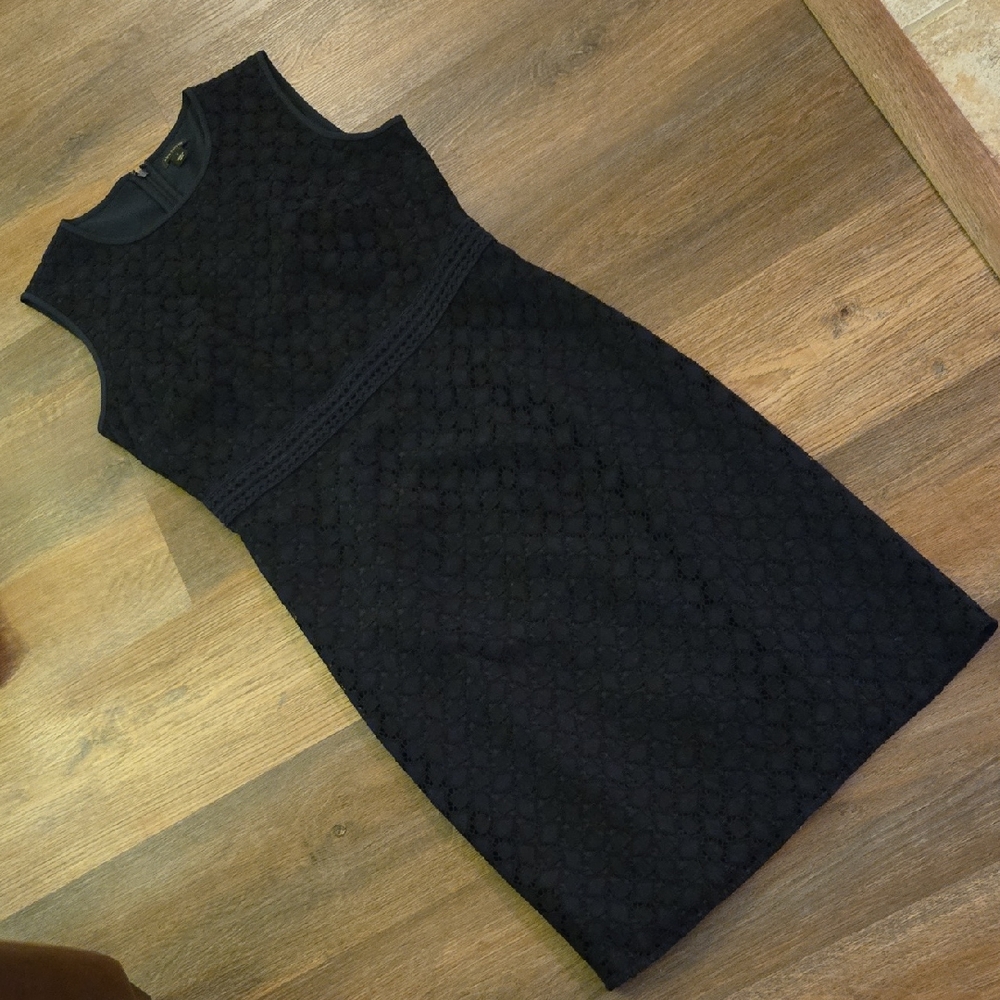 Ann Taylor Lace Sheath Dress